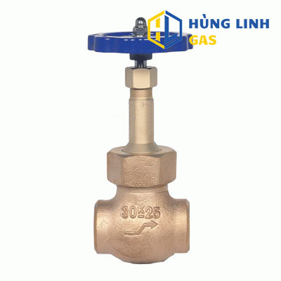VAN CẦU CẦN NGẮN WCGS-1000 DÙNG CHO Ô XY LỎNG, NI TƠ, ARGON